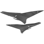 タンクプロテクション 下 Carbon LighTech Aprilia RSV4/1100 Factory/R/RR/RF (09-20) CARA3080 