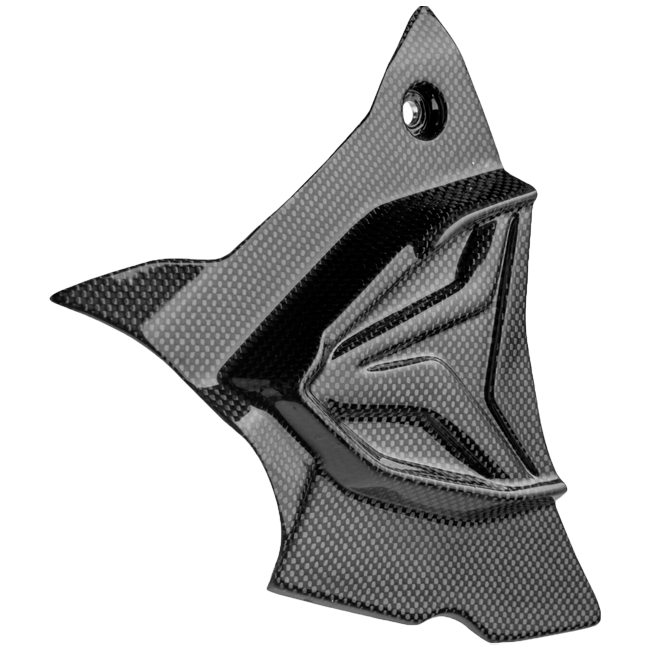 カーボン製リッツェルカバー LighTech BMW S1000RR K67 (19-25) CARB1945 