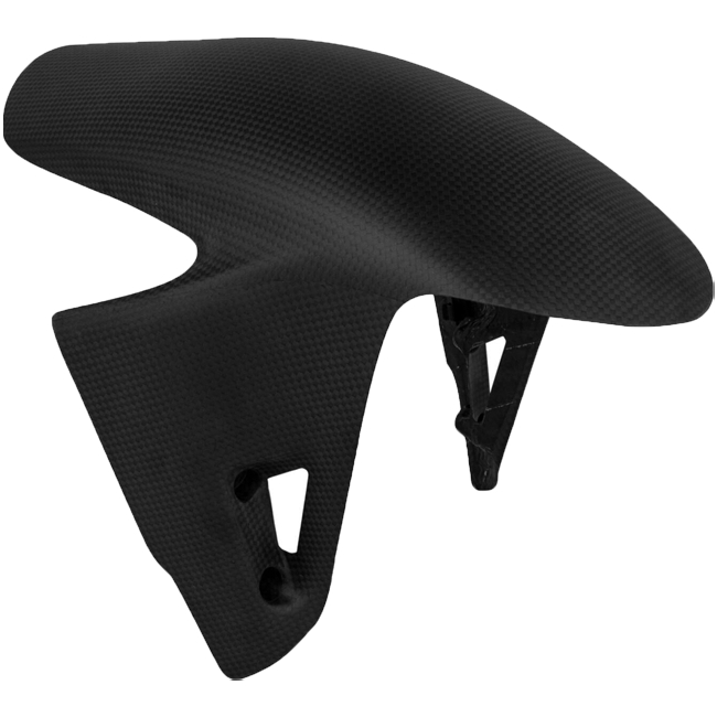 フロントフェンダー カーボン LighTech Ducati Panigale V4/S/R (18-24) CARD0810 