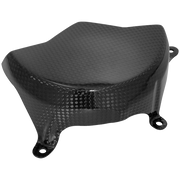 カーボン製ライトマシンカバー LighTech Ducati Panigale V4/S/R (18-24) CARD0840 