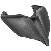 カーボン製リアカウル LighTech Ducati Panigale V4/S/R (18-24) CARD0890 