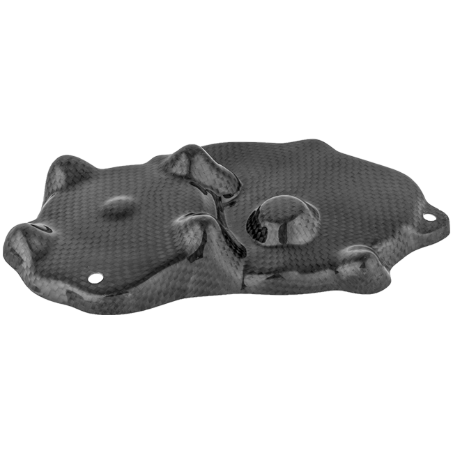 カーボン製ピックアップカバー LighTech Kawasaki ZX-6R/636/RR (09-25) CARK9518 