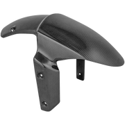 カーボン製フロントフェンダー LighTech Kawasaki ZX-10 R (11-15) CARK9610 