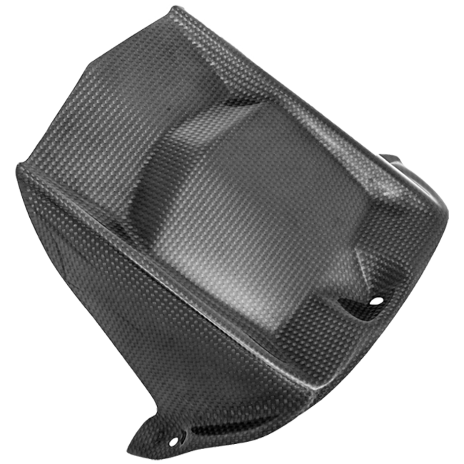 リアフェンダー カーボン LighTech ヤマハ YZF-R6 RJ11, RJ15, RJ27 (06-25) CARY9920 