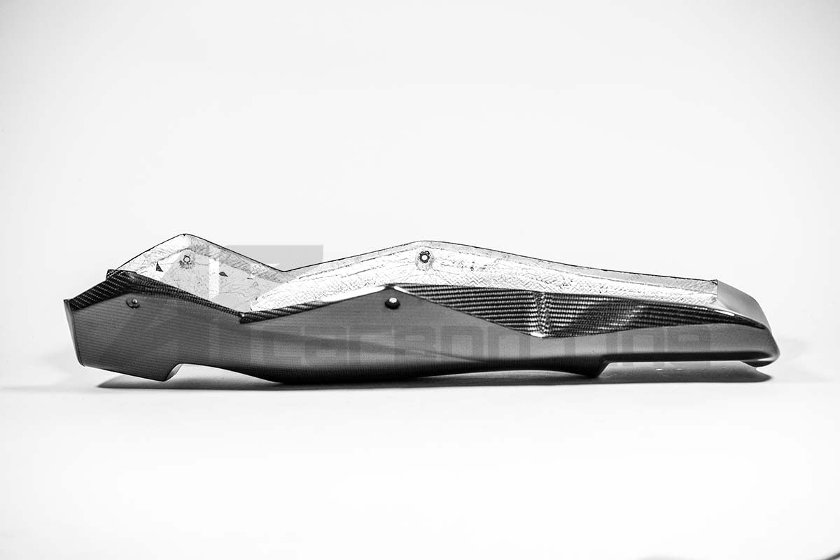 Bugspoiler 200g AP Carbon Line Aprilia RSV4/RR/1100 Factory (21-25)