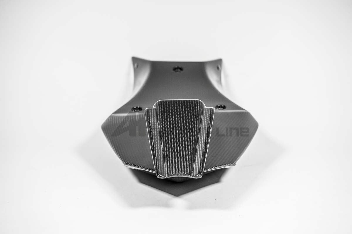 ヘックカバー 200g APカーボンライン アプリリア RSV4/RR/1100 ファクトリー (21-25) 