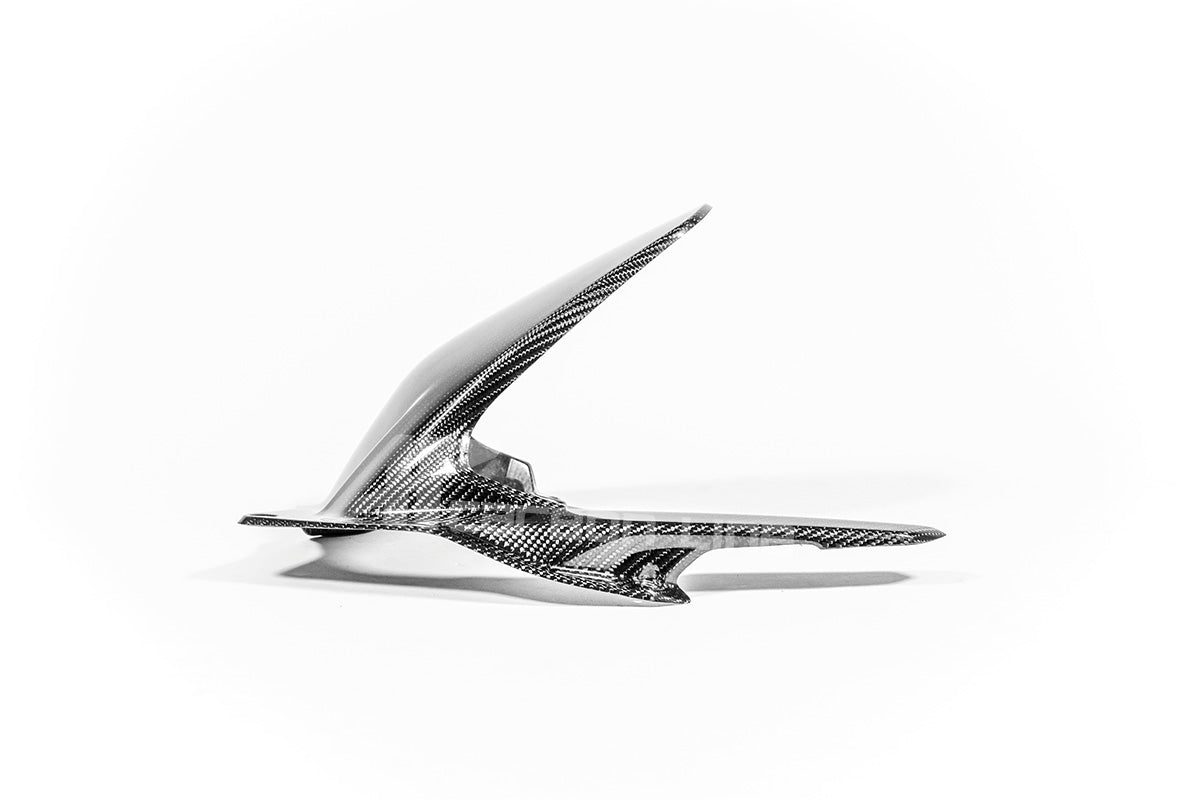 リアフェンダー 200g APカーボンライン ドゥカティ パニガーレ V4/S (2025) 