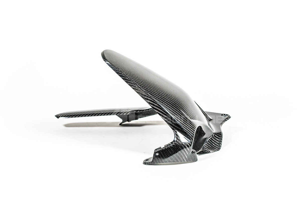 リアフェンダー 200g APカーボンライン ドゥカティ パニガーレ V4/S (2025) 