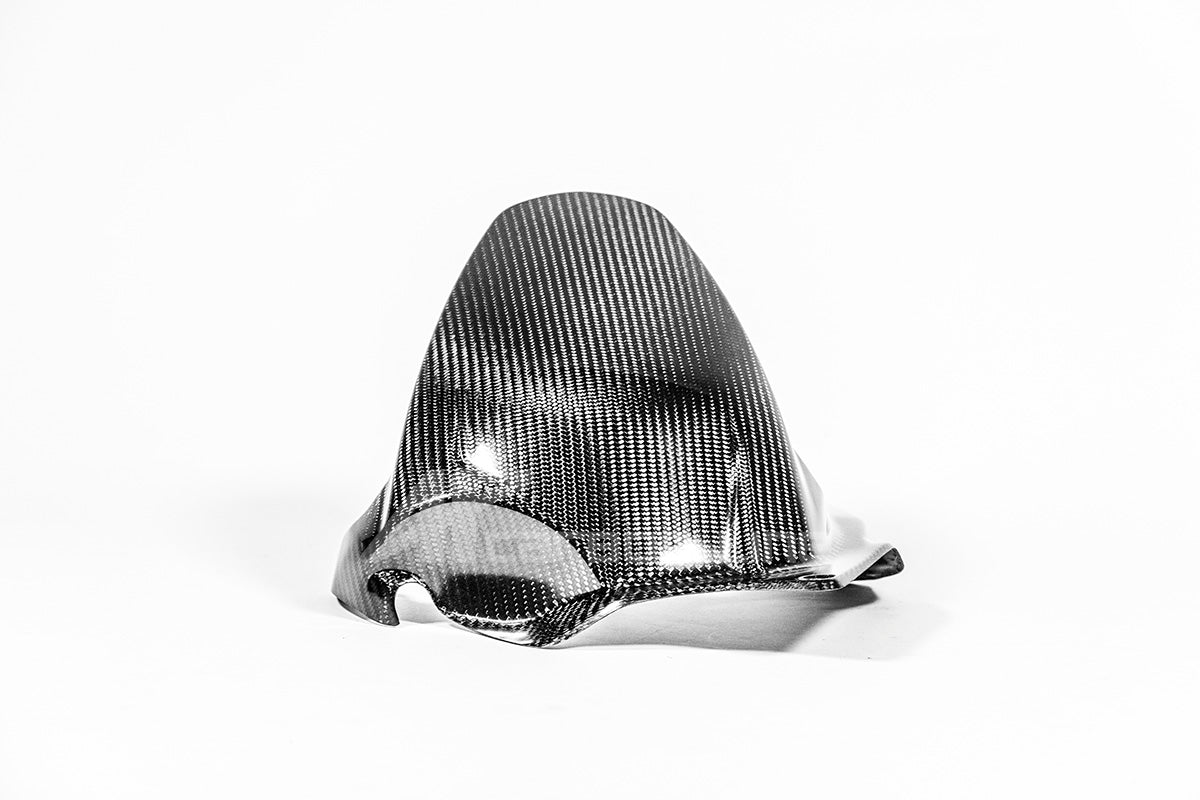 リアフェンダー 200g APカーボンライン ドゥカティ パニガーレ V4/S (2025) 