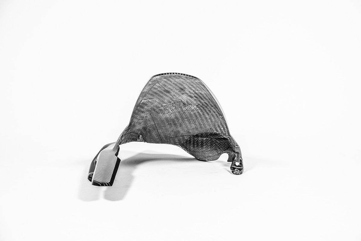 リアフェンダー 200g APカーボンライン ドゥカティ パニガーレ V4/S (2025) 