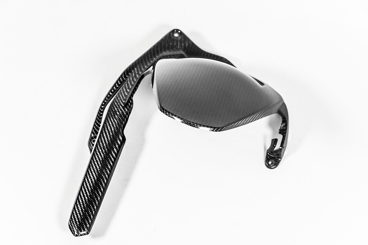 リアフェンダー 200g APカーボンライン ドゥカティ パニガーレ V4/S (2025) 