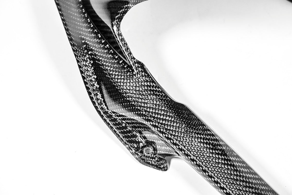 リアフェンダー 200g APカーボンライン ドゥカティ パニガーレ V4/S (2025) 