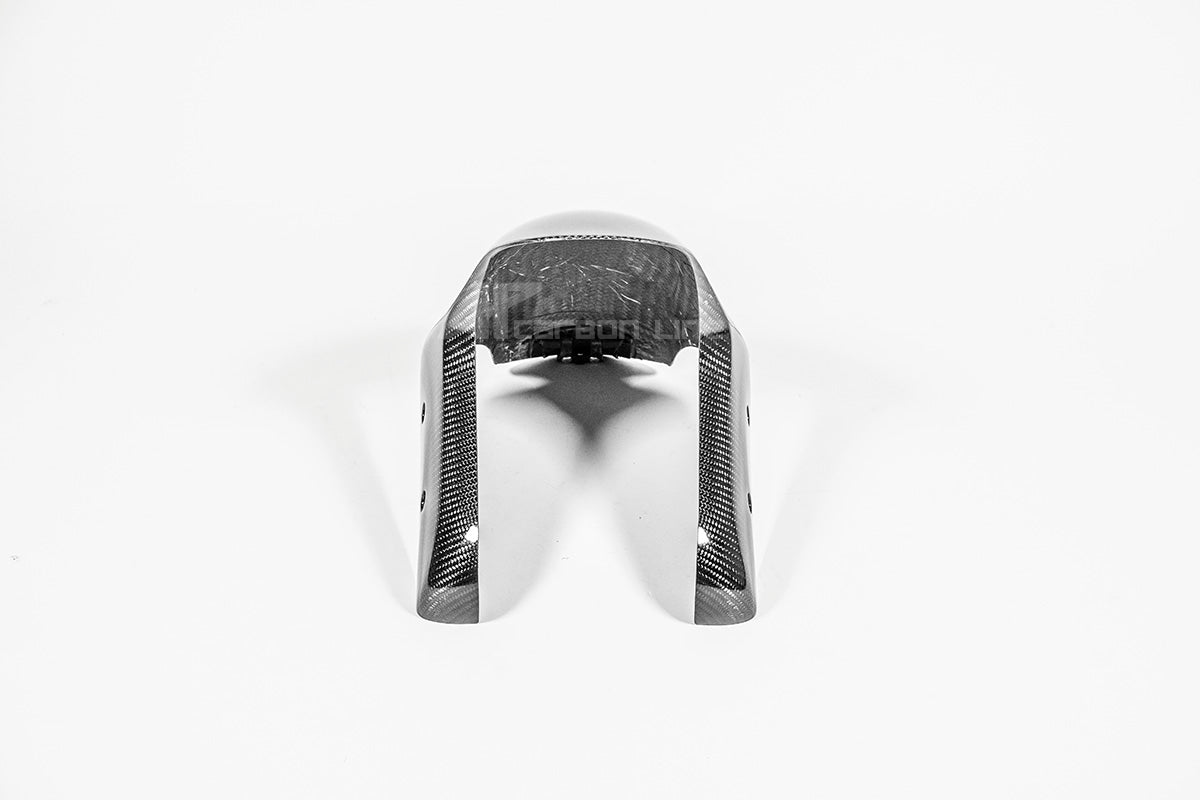 Vorderer Kotflügel 200g AP Carbon Line Ducati Panigale V4/S (2025)