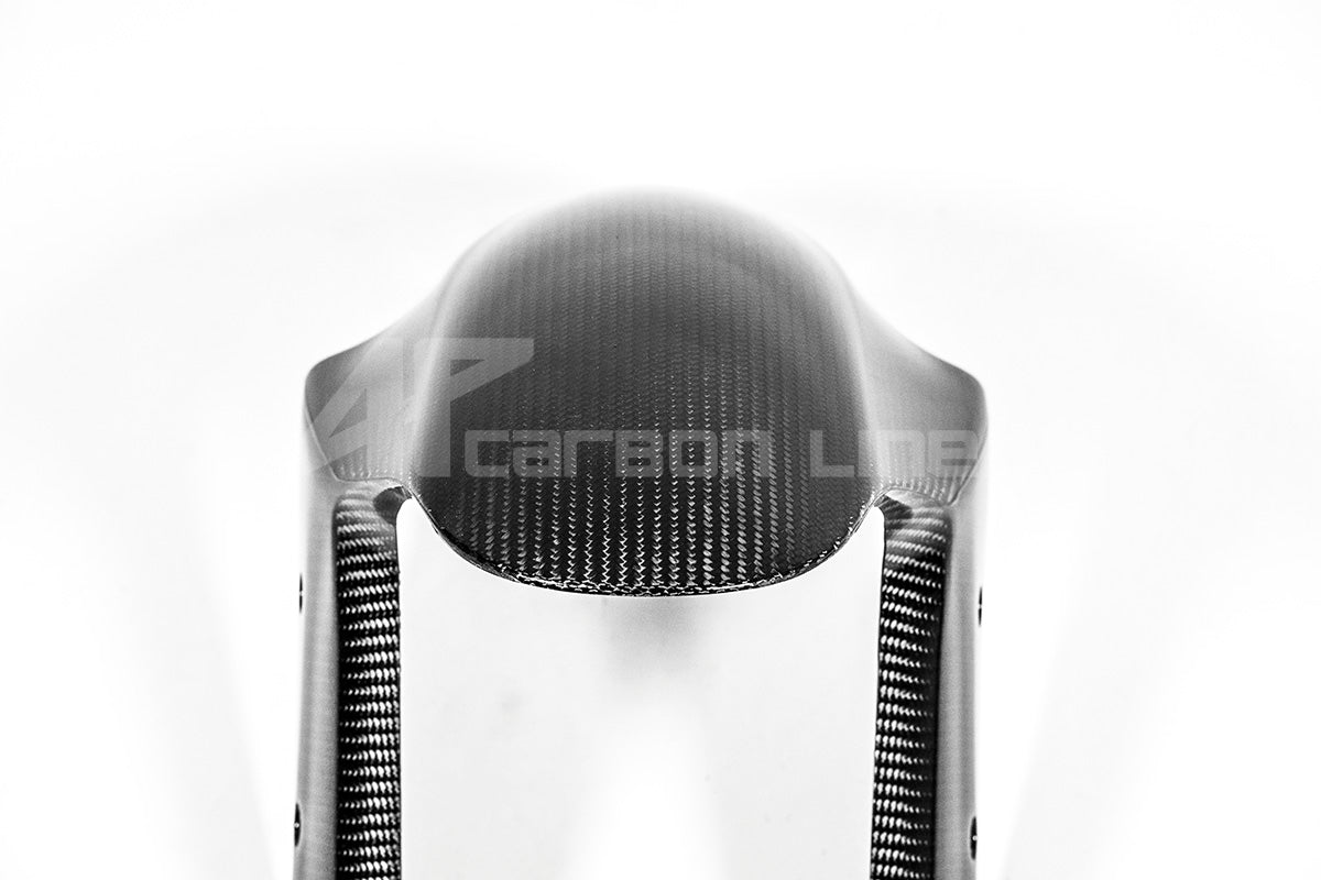 Vorderer Kotflügel 200g AP Carbon Line Ducati Panigale V4/S (2025)