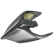 カーボン製リアカウル PlasticBike Ducati Panigale V2 955 (20-24) 