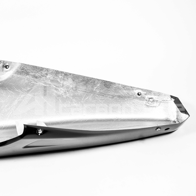 バグスポイラー Lavatex AP カーボンライン ドゥカティ パニガーレ V4/S (2025) 