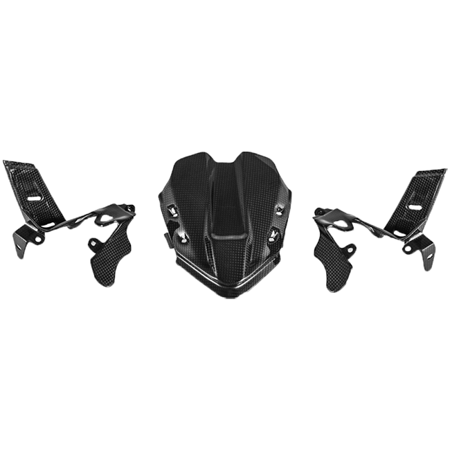 インスツルメントカバー "GPSなし" カーボン フルシックス ドゥカティ パニガーレ V4/S/R (18-24) 