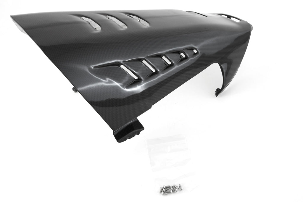 バグスポイラー ストリート カーボン フルシックス ドゥカティ パニガーレ V4/S (2025) 