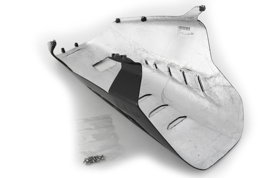 バグスポイラー ストリート カーボン フルシックス ドゥカティ パニガーレ V4/S (2025) 