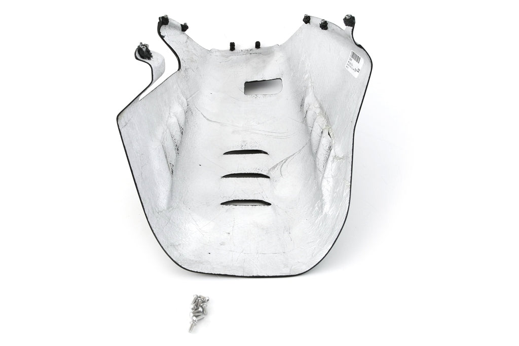 バグスポイラー ストリート カーボン フルシックス ドゥカティ パニガーレ V4/S (2025) 