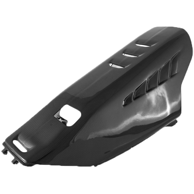 バグスポイラー ストリート カーボン フルシックス ドゥカティ パニガーレ V4/S (2025) 