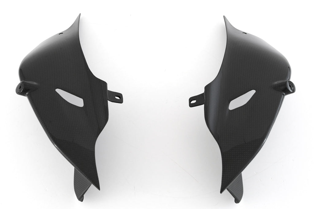 リアカバー中央 + 下部 レースカーボン フルシックス ドゥカティ パニガーレ V4/S (2025) 