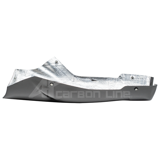 SBKバグスポイラー 200g APカーボンライン ドゥカティ パニガーレ V4/S/R (22-24) 