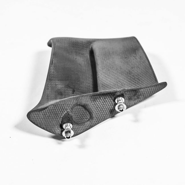 ウィングレットセット Lavatex AP カーボンライン ドゥカティ パニガーレ V4/S (2025) 