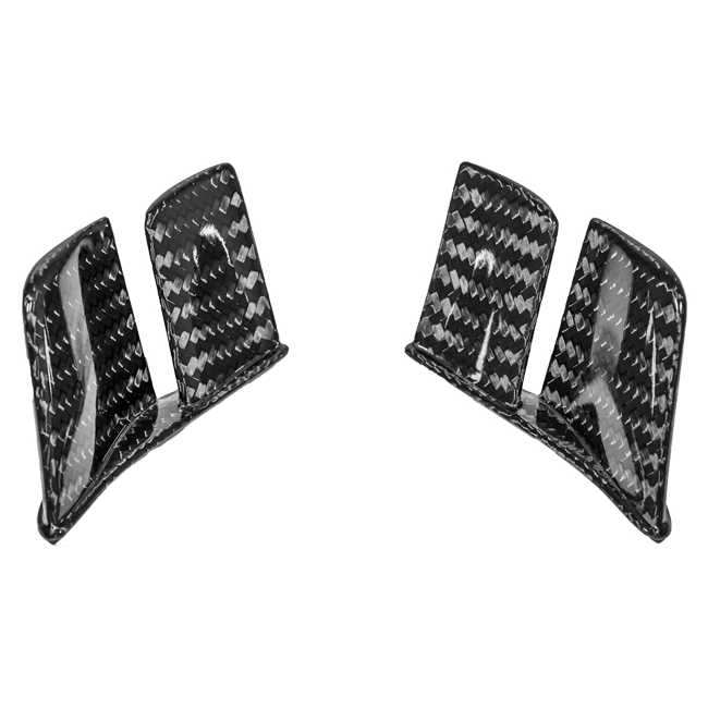 ヘック MotoGP ウィングレット 400g AP カーボンライン ドゥカティ パニガーレ V4/S/R (18-24) 