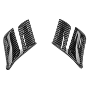 ヘック MotoGP ウィングレット 200g AP カーボンライン ドゥカティ パニガーレ V4/S/R (18-24) 