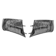 ウィングレット 400g APカーボンライン ドゥカティ パニガーレ V4/S/R (22-24) 