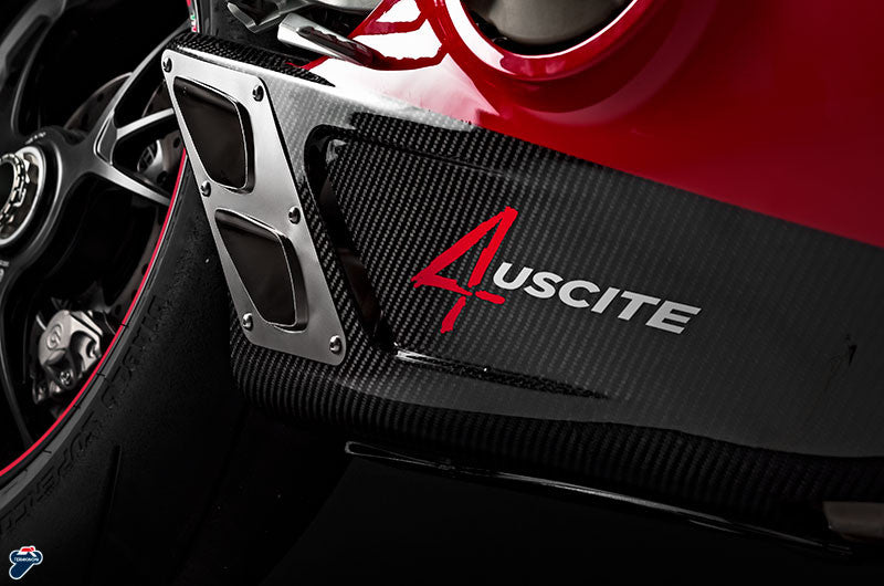 タミニョーニ 完全排気システム ステンレス 4USCITE ドゥカティ パニガーレ V4/S (18-24) D18209401ITX 