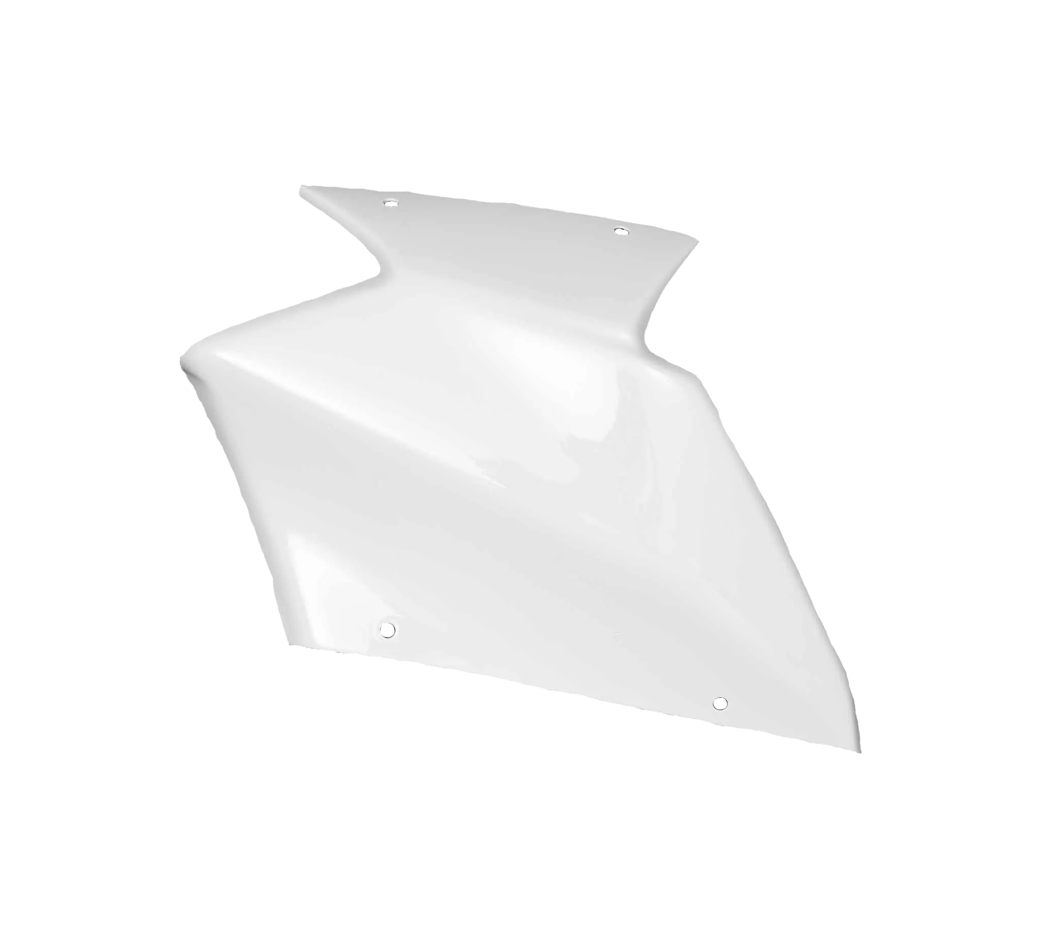 カワサキ ZX-10 R/RR (21-25) 用 アヴィオファイバー 完全カウルセット カーボニン 