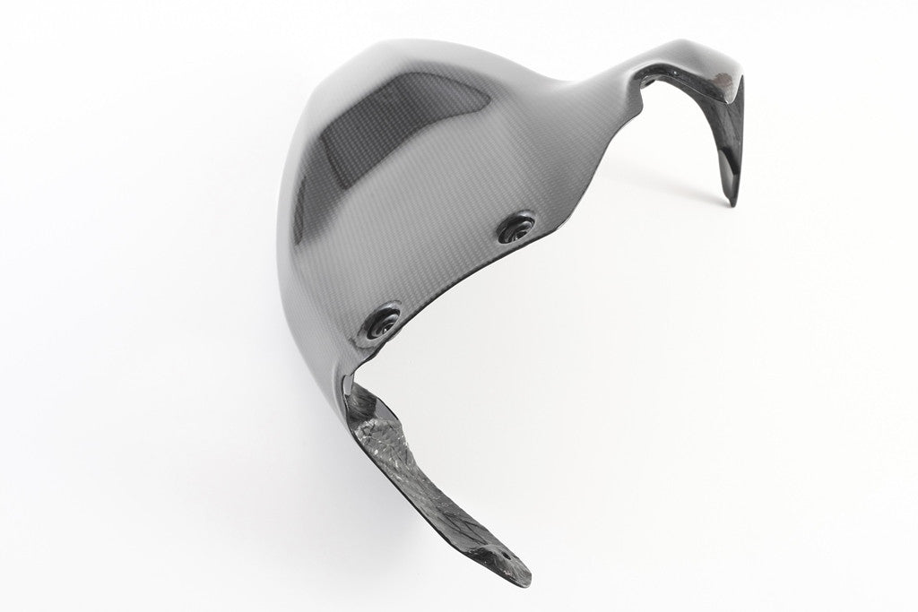 カーボン製リアフェンダー Fullsix Ducati Panigale 1199/R/S (12-17) 