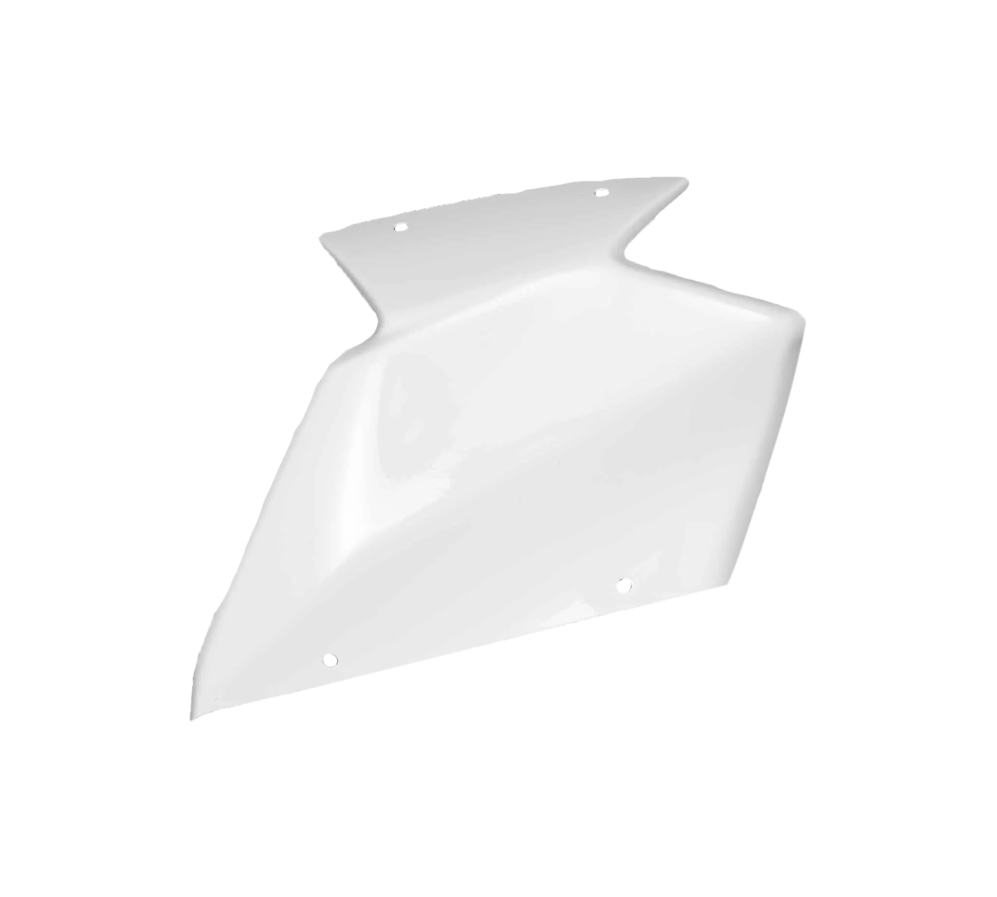 カワサキ ZX-10 R/RR (21-25) 用 アヴィオファイバー 完全カウルセット カーボニン 