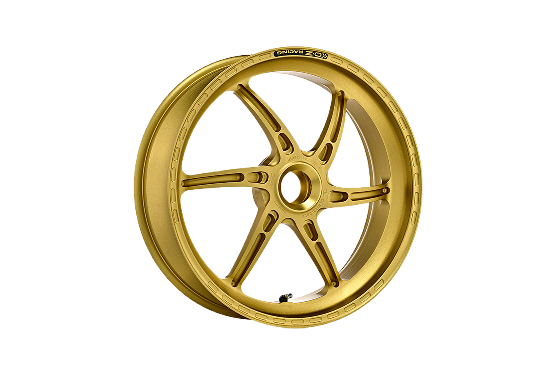 OZ Gass RS-A アルミリアホイール Ducati Panigale V2 955 (20-24) H6012DU55 