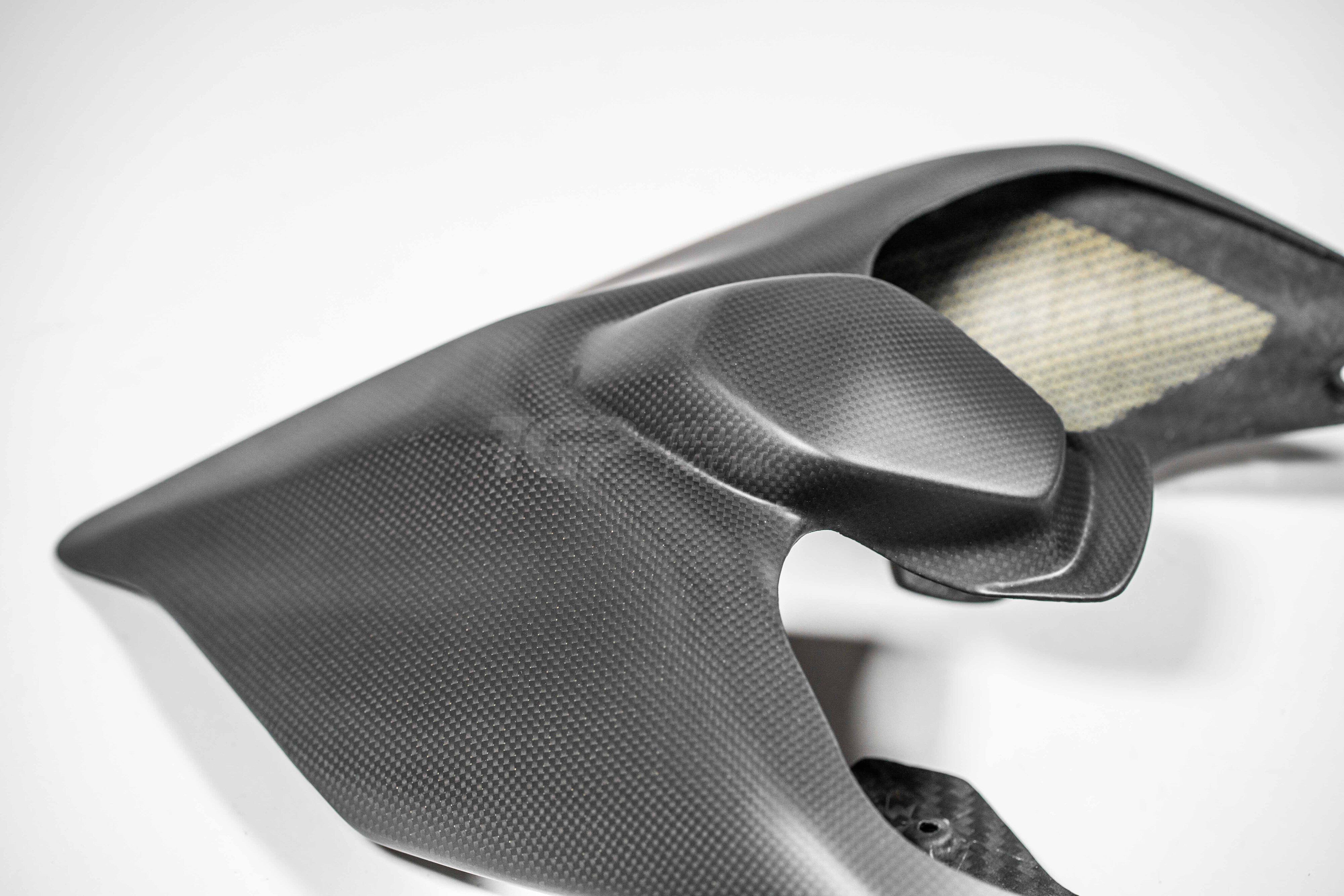 カーボン製リアカウル PlasticBike Ducati Panigale V2 955 (20-24) 