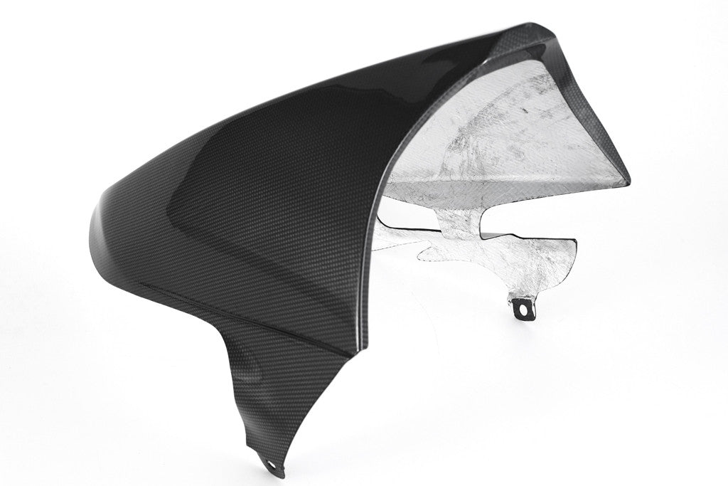 バグスポイラー "延長" カーボン フルシックス ドゥカティ パニガーレ 1199/R/S (12-17) 