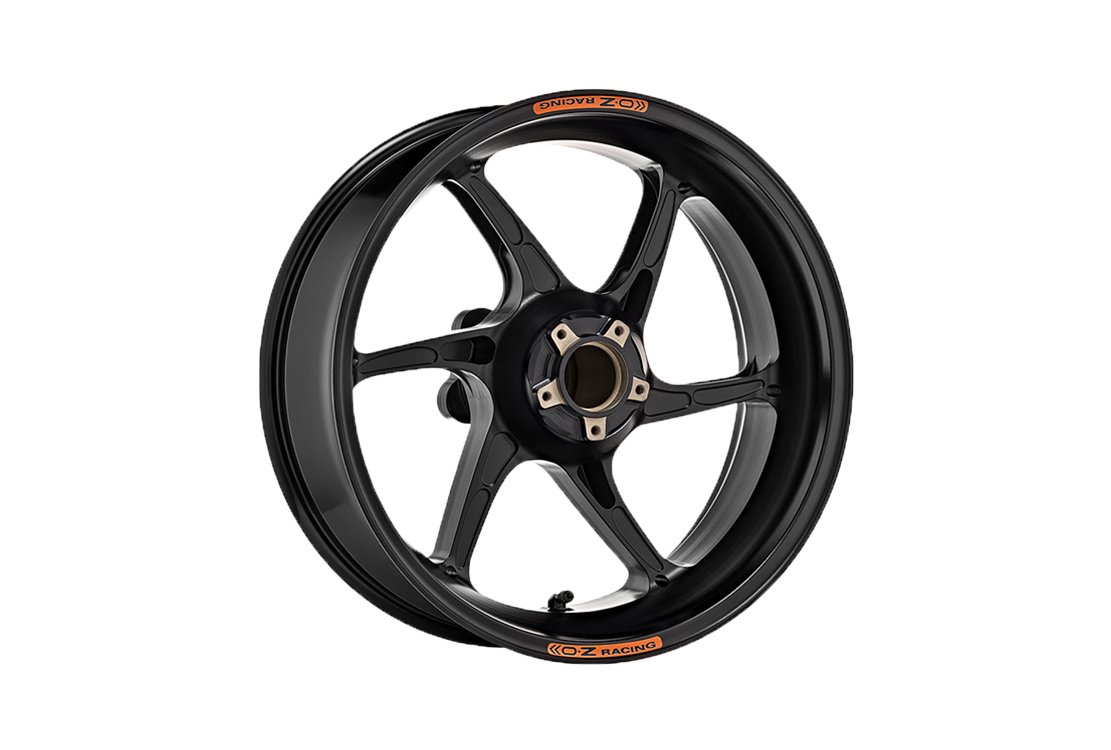 OZ Cattiva マグネシウムリアホイール Aprilia RSV4/Factory/R/RR/RF (09-16) C6095AP60X 