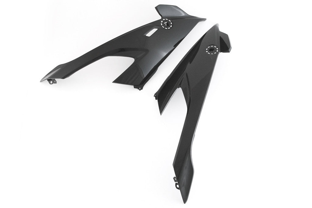 サイドパネルセット（左と右）カーボンフルシックス BMW S1000RR K67 (19-22) 
