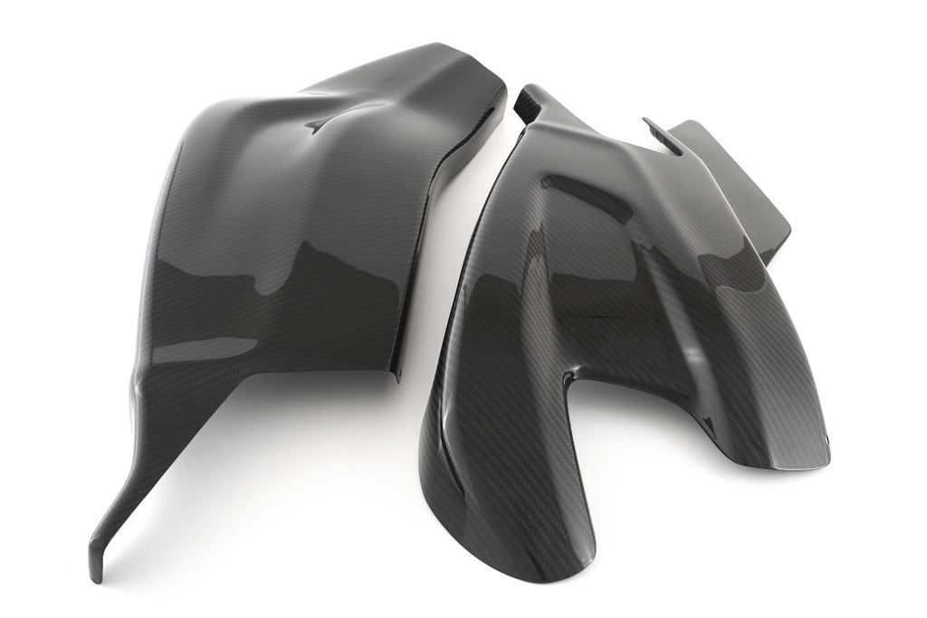 カーボン製スイングアームカバー Fullsix BMW S1000RR K46 (09-18) 