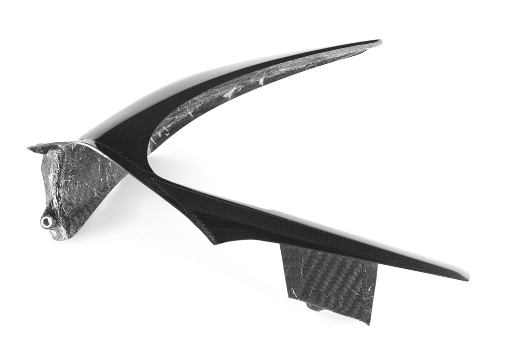 リアフェンダー "WIDE" カーボン Fullsix ドゥカティ パニガーレ V4/S/R (18-24) 