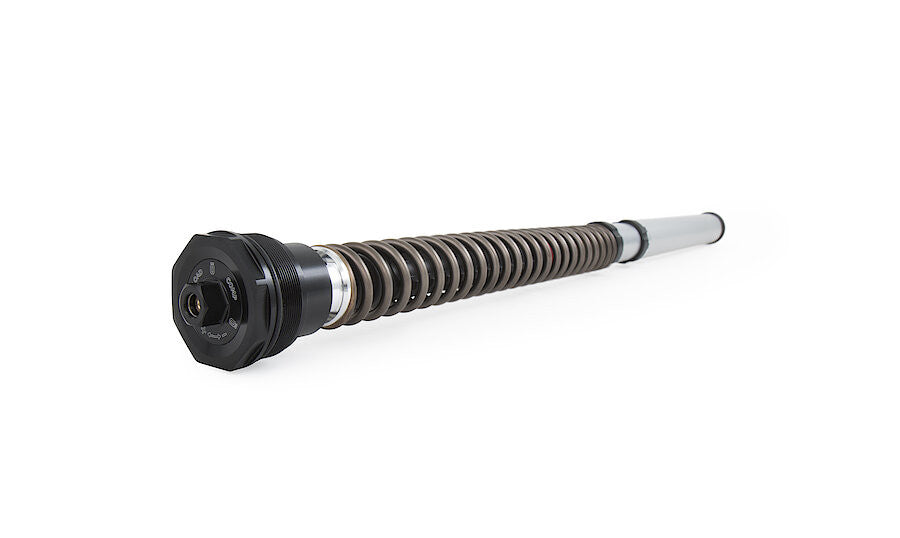 Öhlins NIX 30 カートリッジキット FGK 229 ドゥカティ パニガーレ V2 955 (20-24) 