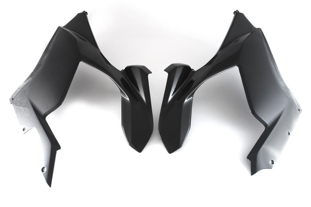 フルシックス カーボン サイドパネルセット デュカティ パニガーレ V4/S (18-19) 